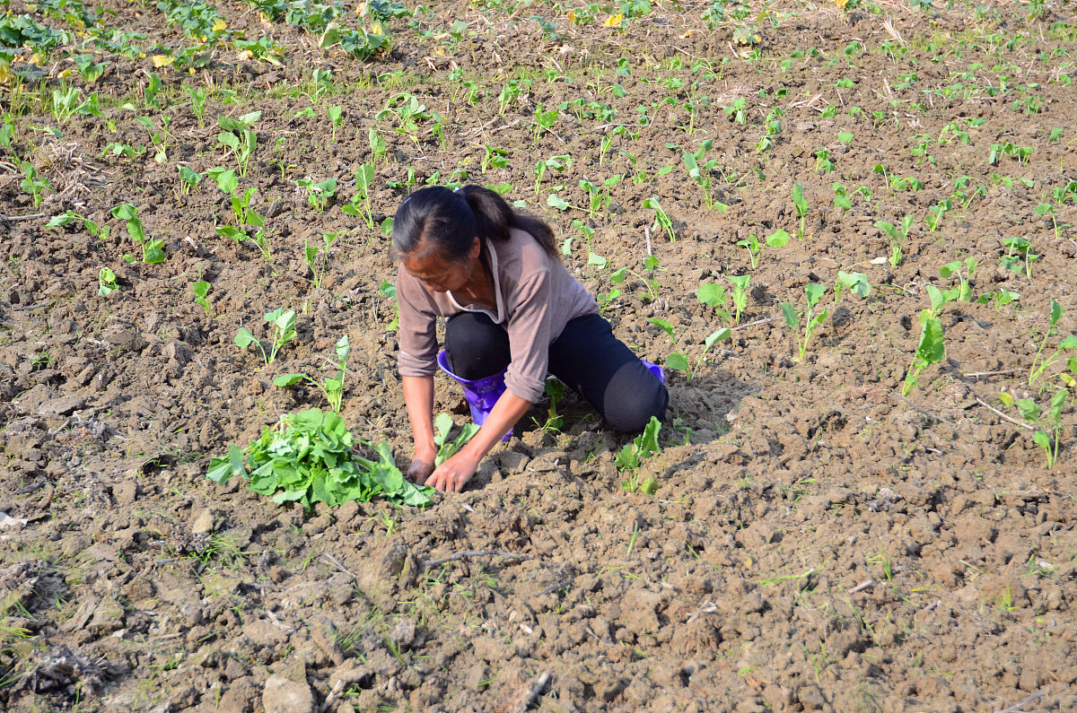 锦屏县中等职业技术学校2019年招生简章