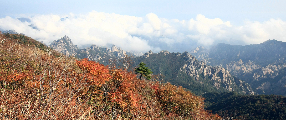 当地时间2012年9月25日,韩国雪岳山大青峰山路上出现今年第一丛红叶,
