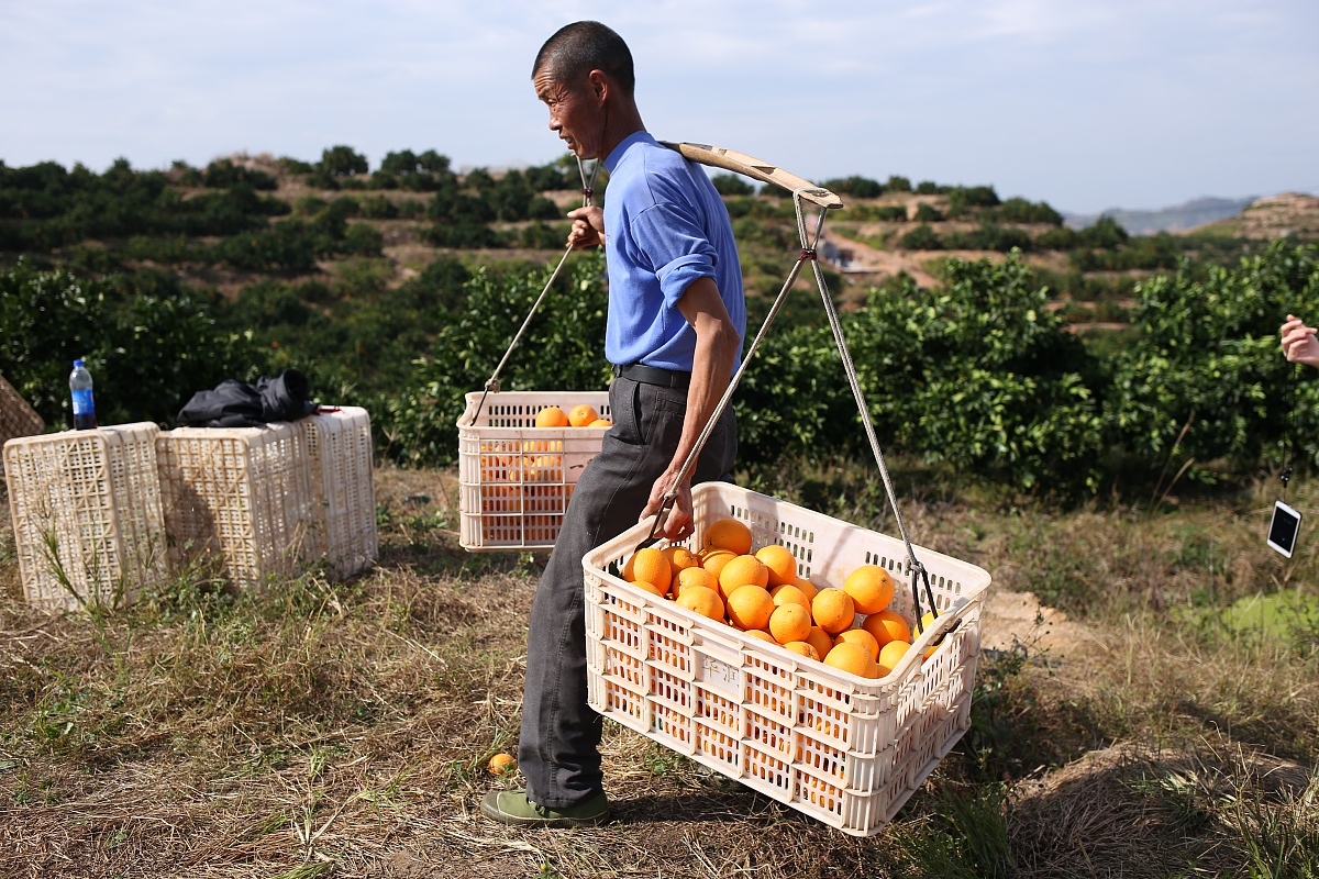 赣州红旗医院公立还是私立医保可以报销吗？