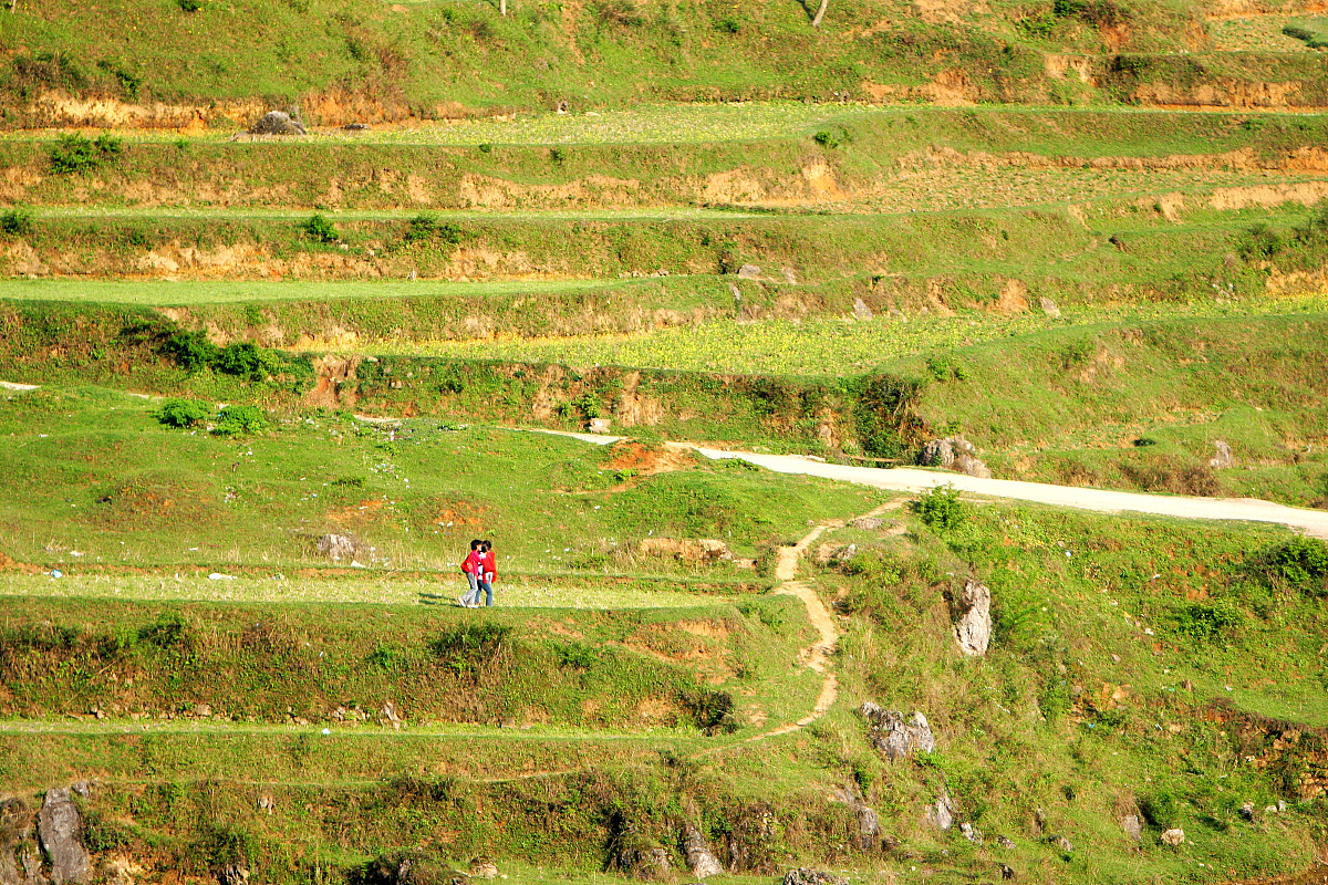 绥阳县土壤类型