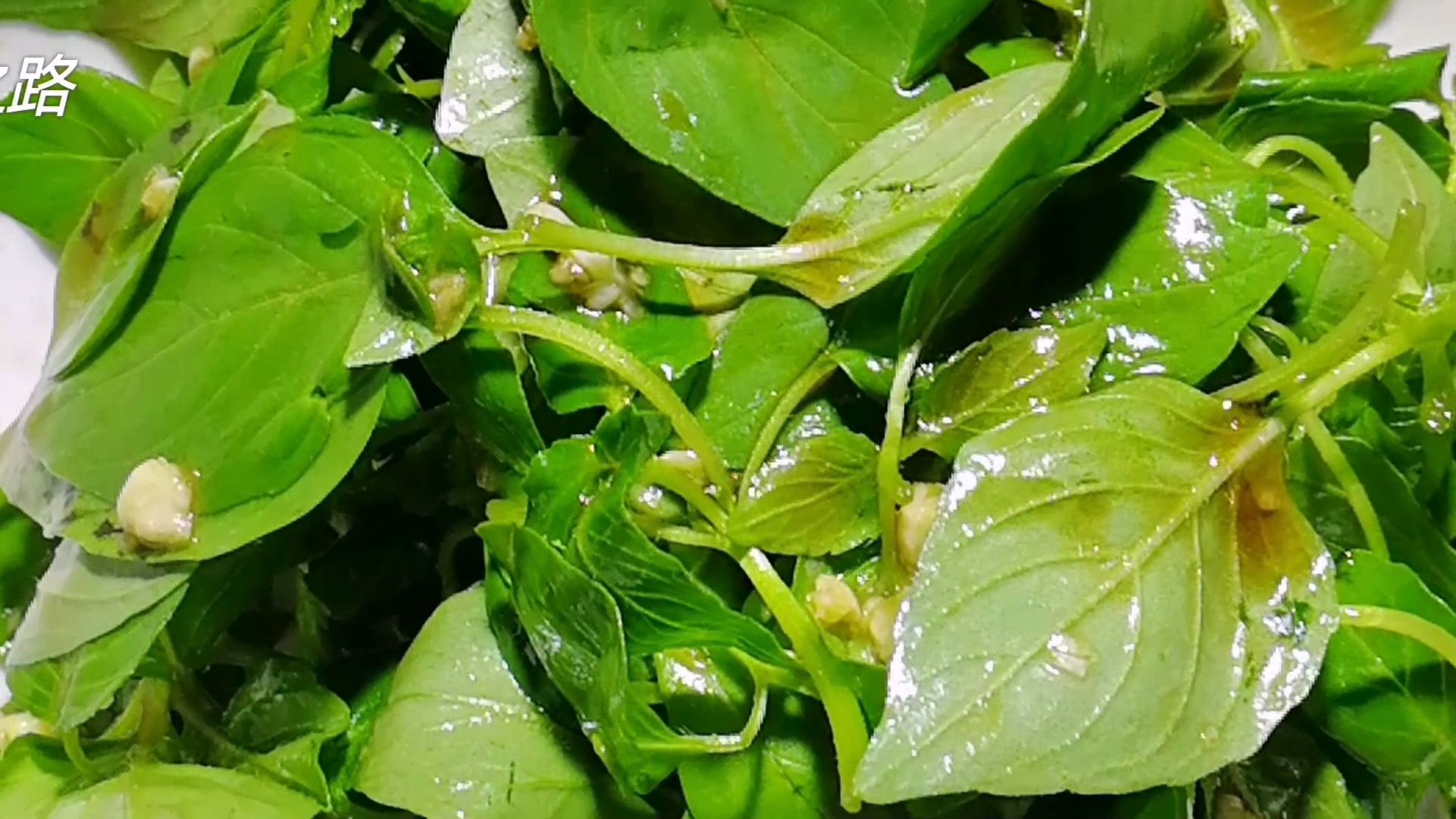 河南特色美食之凉拌荆芥,外省的小伙伴很难接受它特有的香味