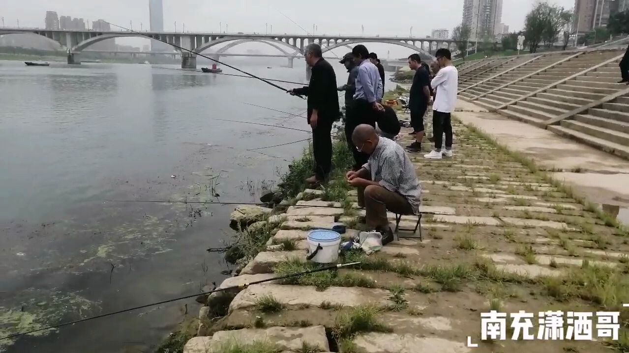 这个地方的鱼非常好钓,三个大爷的钓鱼方法,吸引了很多来观看的