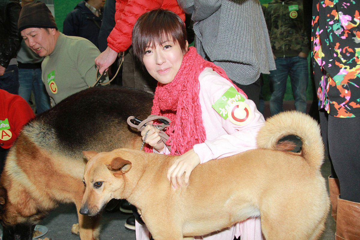 汪星人仿唐诗：可爱狗狗的快乐日常