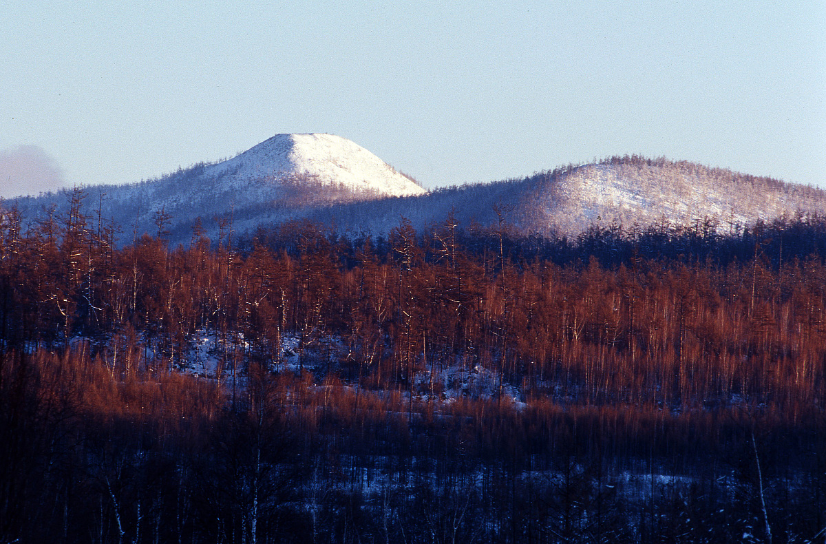 论述重庆市森林资源保护过程中森林资源保护技术落后的问题不得少于800字。