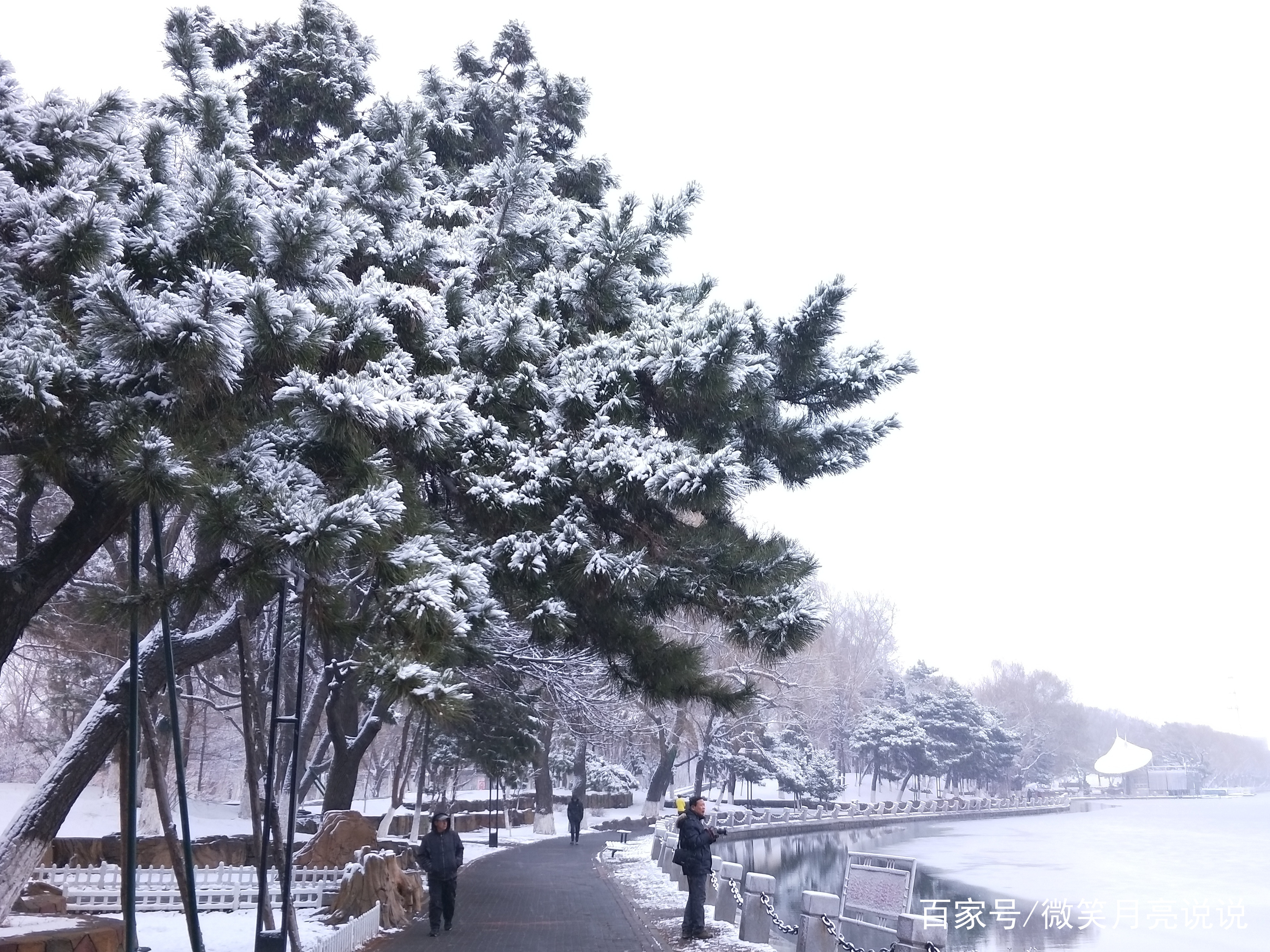 2019年3月21日下雪抚顺的景色