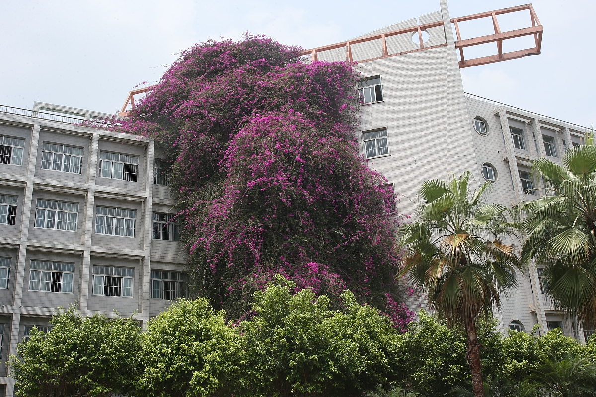 工程项目广西大学第二教学楼编写施工进度计划