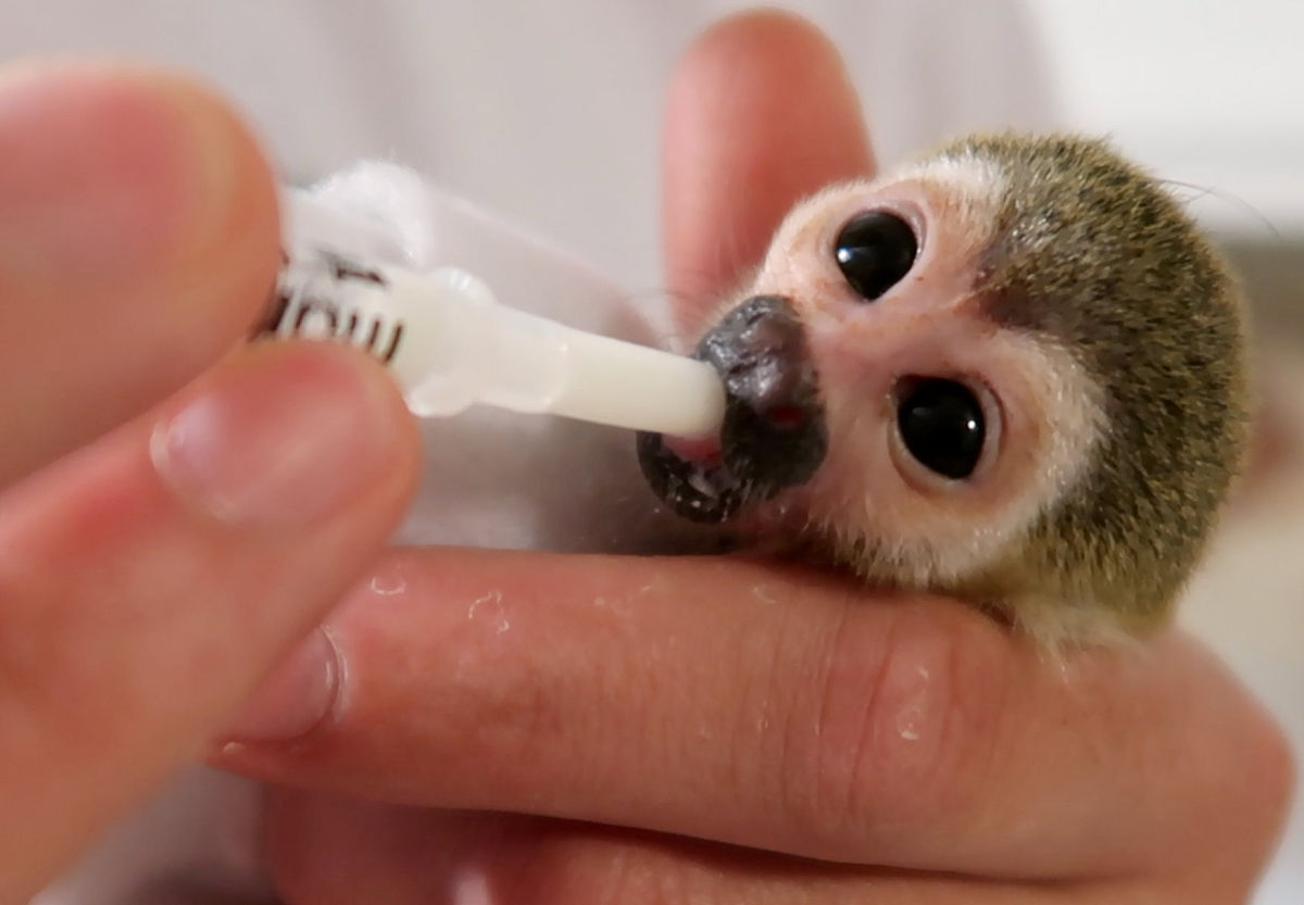 天津市交通职业学院具有哪些办学特色？学校就业情况如何？