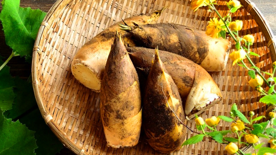 3月春笋比肉鲜,试试这样做一次,鲜嫩美味,上桌连汤汁都不剩