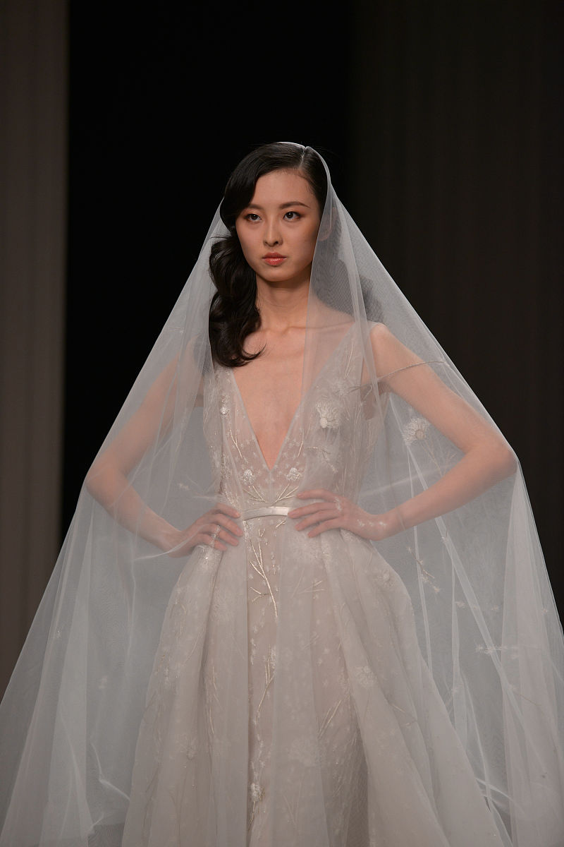 二年级作文：大象和长颈鹿搭桥的故事