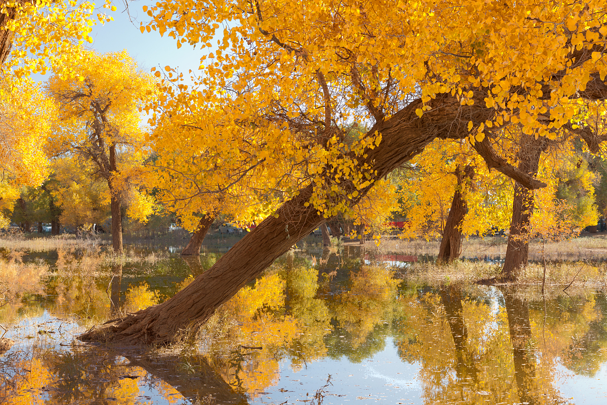 2021年甘肃女生读幼师学校好不好