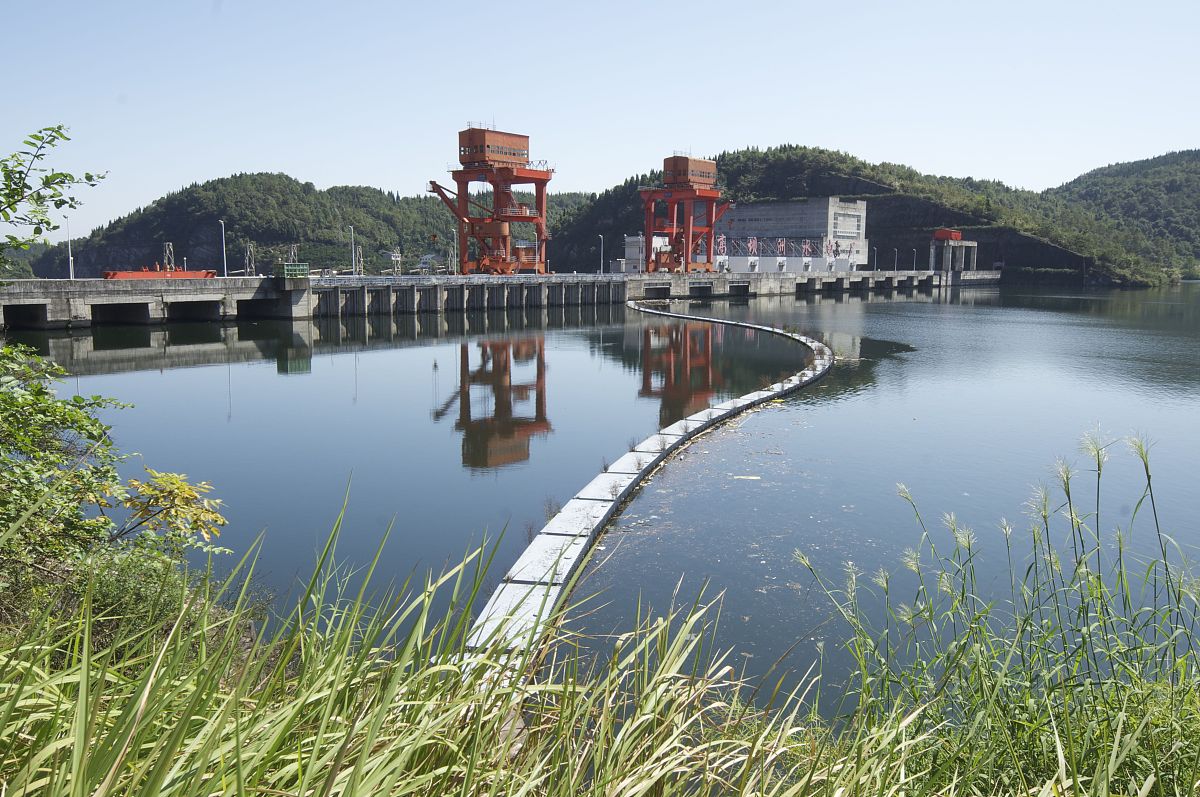 写一则标书主题不限