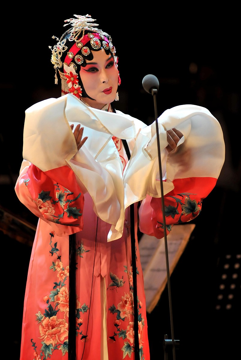 ***_***2010年2月28日,江苏南京,戏曲名家名段元宵晚会在南京紫金大戏