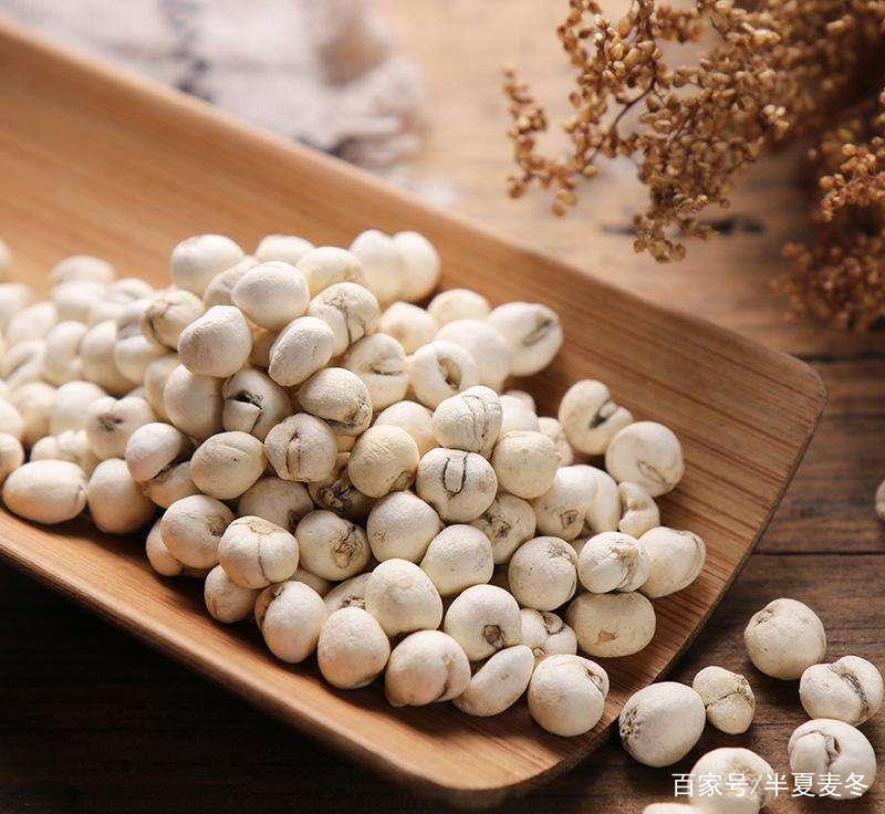川贝是什么东西 baijiahao.baidu.com