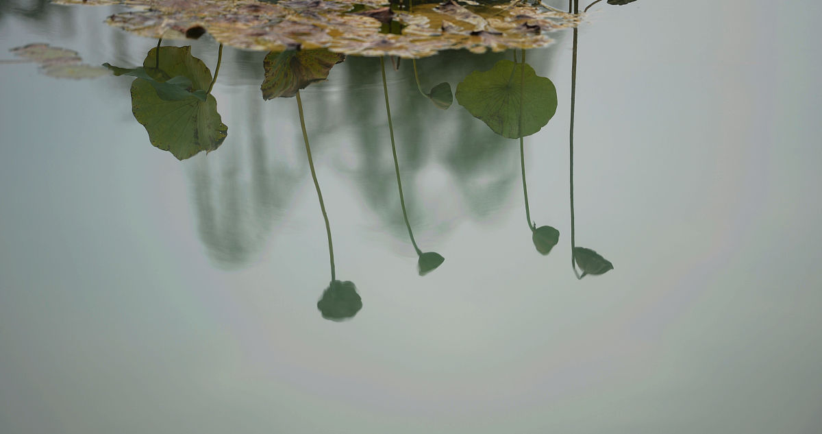 四川大学师范学院华西校区2019年招生简章