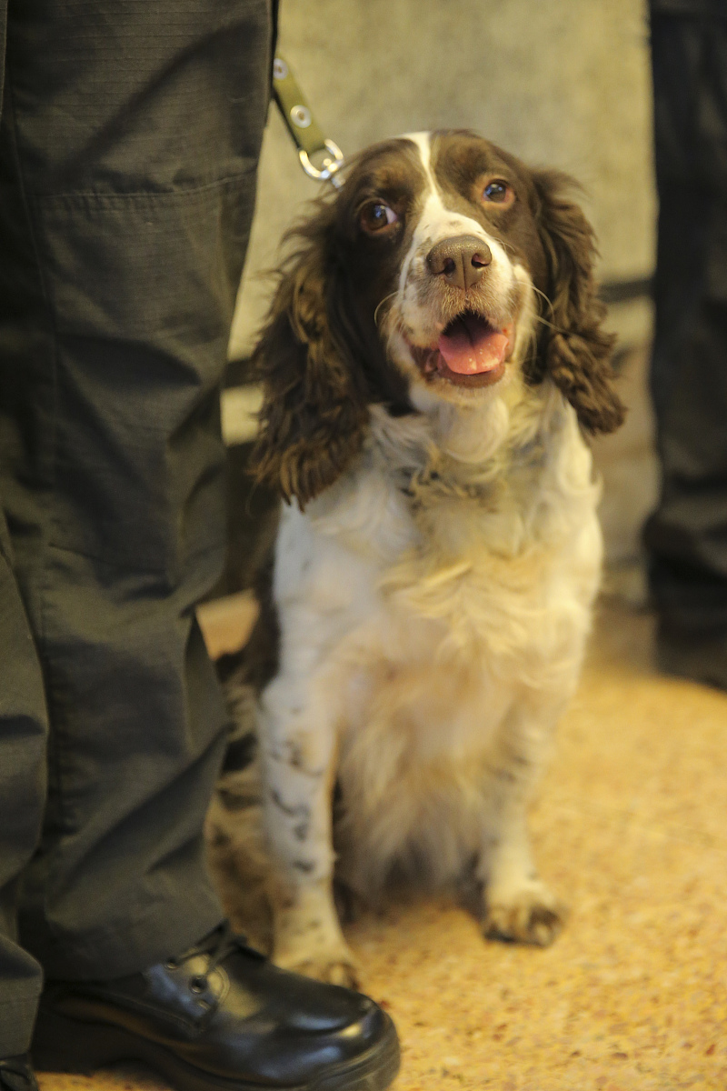 特种设备年度风险管控评审和隐患排查治理总结 - 安全运行保障