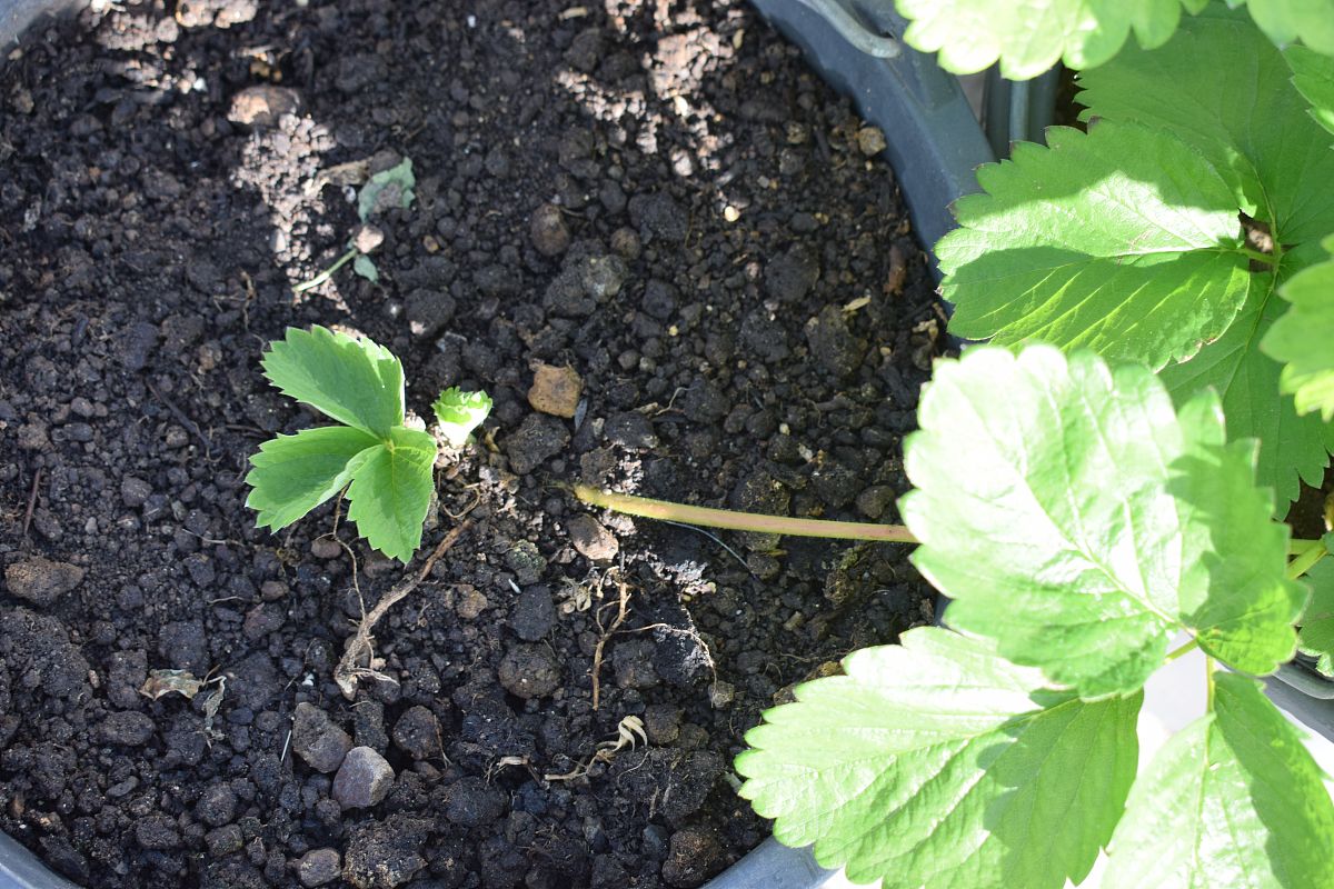 重庆市经贸中等学校2019招生简章专业学校2019招生简章