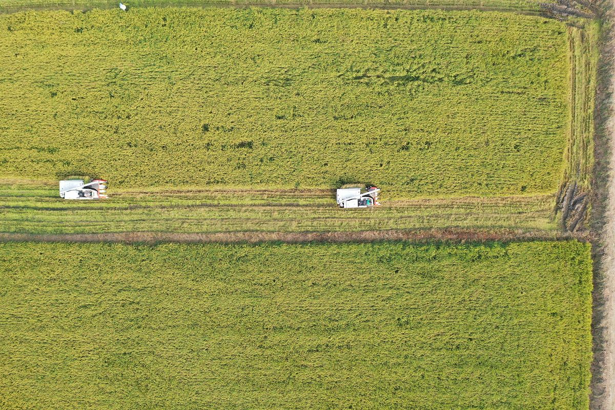 重庆农业机械化学校机电技术应用专业就业前景分析