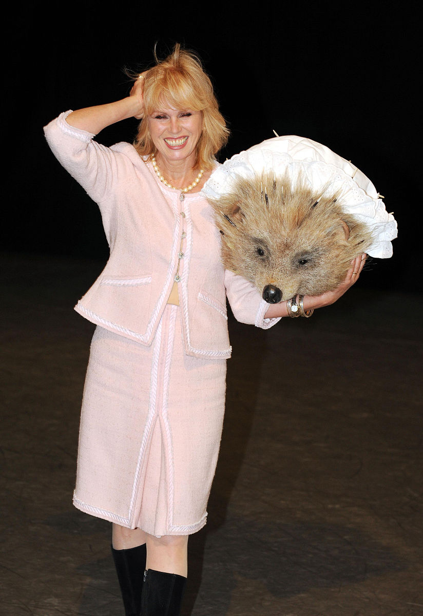 2010年1月12日讯,伦敦,以女演员乔安娜·拉姆利(joanna lumley)为首的