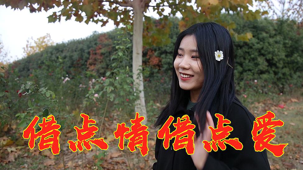 [图]《借点情借点爱》DJ版,人美歌美,好听到单曲循环