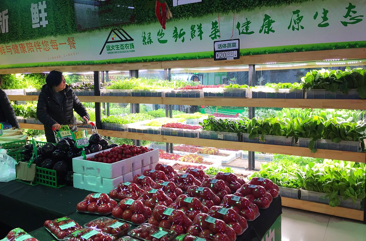 农产品批发市场与营销研究：现状、问题及对策