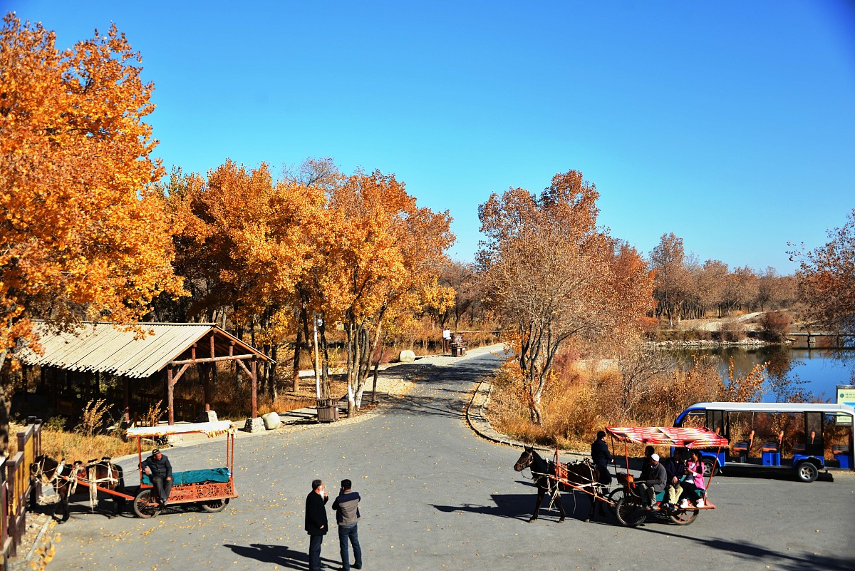 江苏省金湖中等专业学校2023招生专业