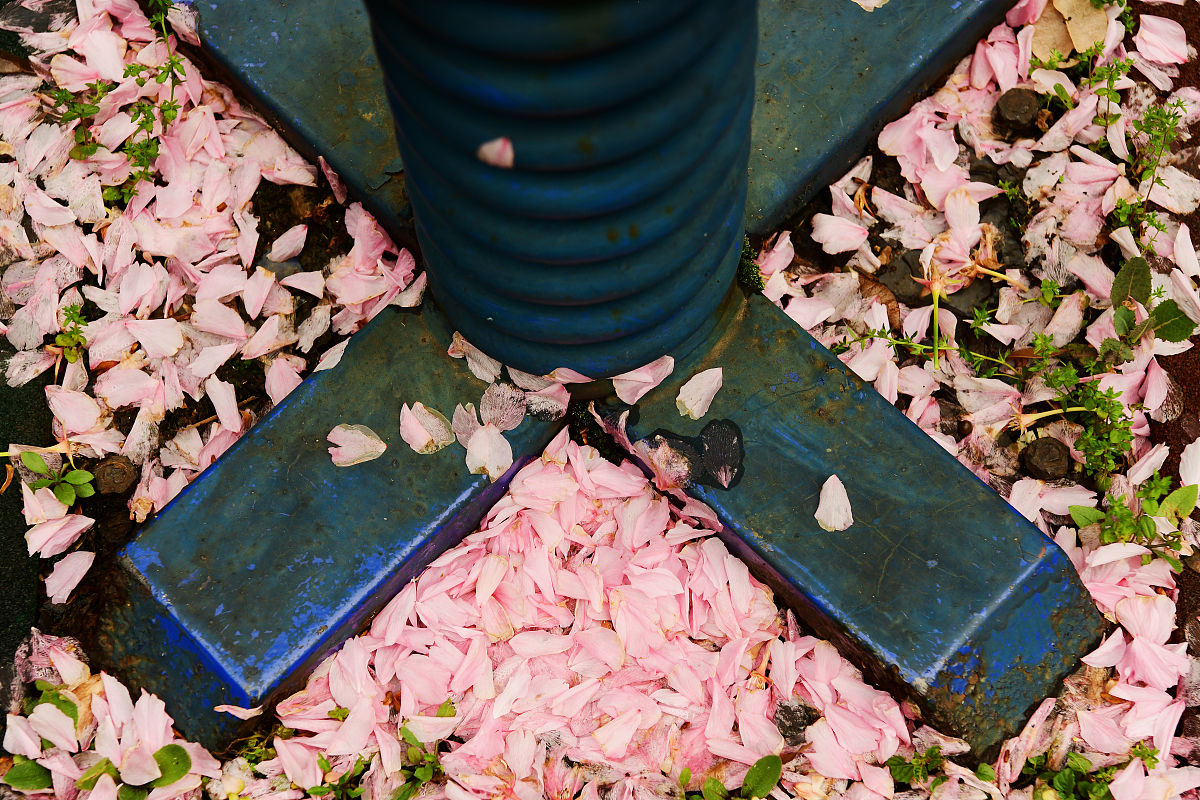 湖北信息工程学校地址在哪里怎么走乘车路线