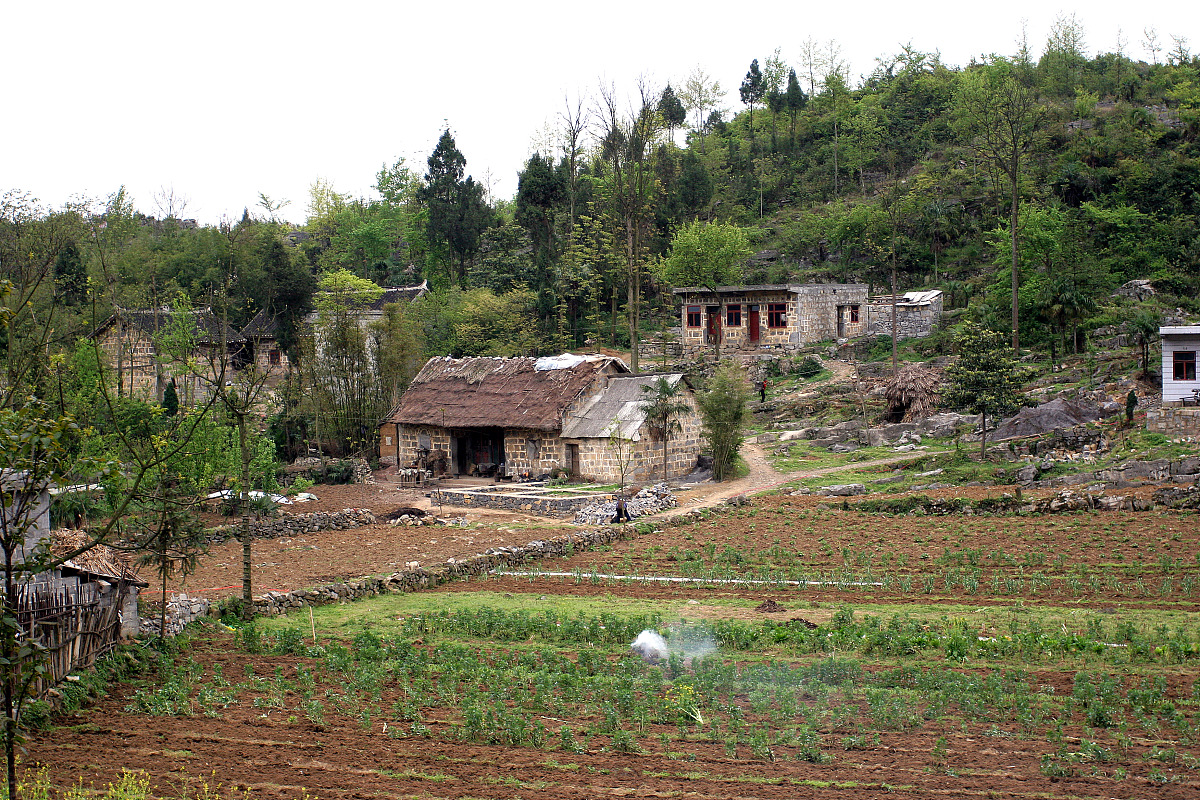 朴实田园：回归自然，享受简单生活