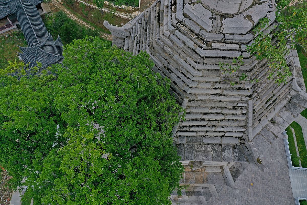黄冈艺术学校2022年招生简章