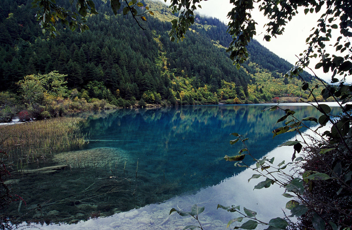 四川旅游学院汽车检测与维修技术专业2019年招生简章