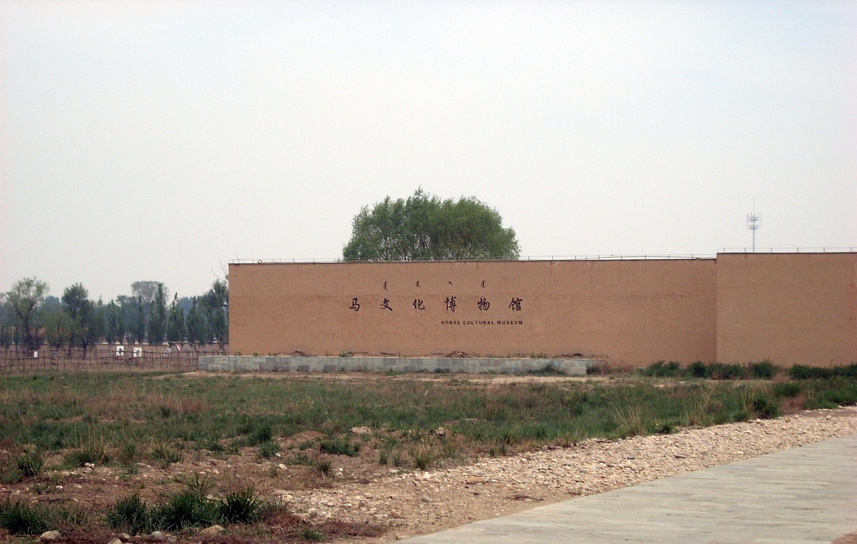 厦门海洋职业技术学院旅游管理专业涉及哪些课程