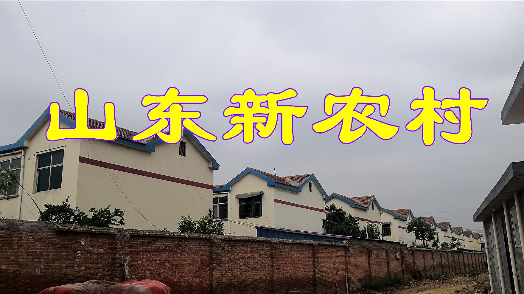 [图]实拍山东菏泽新农村,家家户户住别墅,比进城买房强多了