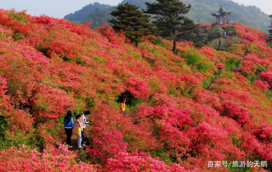 湖北黄冈的5大旅游景点,齐安湖生态农庄上榜,你喜欢哪个地方? 1.红安天台山风景区 湖北黄冈的5大旅游景点,齐安湖生态农庄上榜,你喜欢哪个地方? 2.天景山大峡谷漂流 湖北黄冈的5大旅游景点,齐安湖生态农庄上榜,你喜欢哪个地方? 3.天堂寨景区 湖北黄冈的5大旅游景点,齐安湖生态农庄上榜,你喜欢哪个地方? 4.