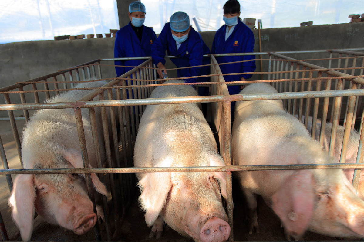 抚顺市农业特产学校畜牧兽医技术专业怎么样？就业前景如何？