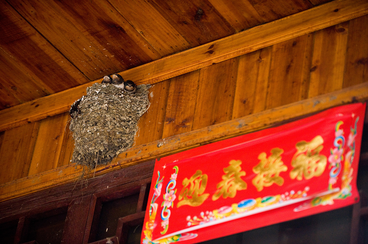 《乡土中国》解读：中国农村社会的六大基本特征