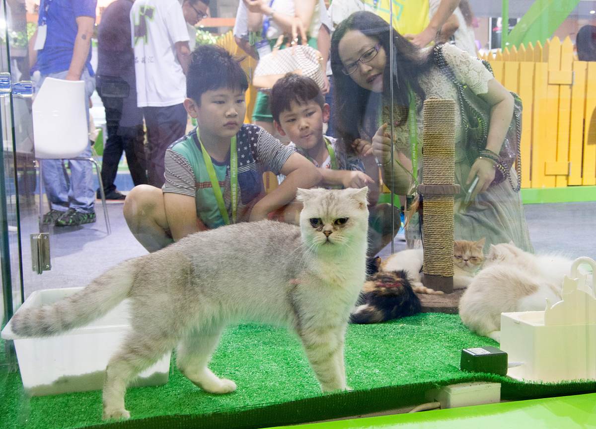 以宠物的重要性：保护环境和生物多样性的重要角色为题写一篇1100文章