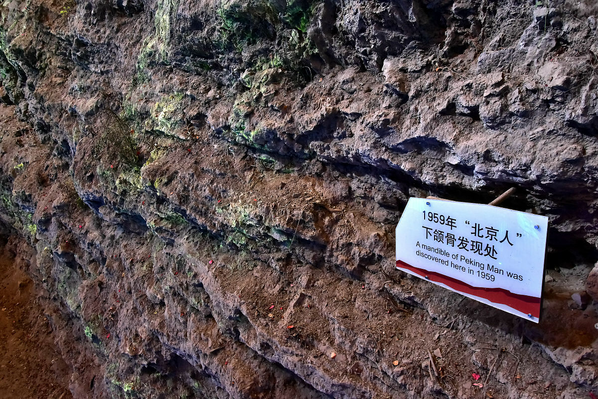 吉林考古学：学科归属及所需课程