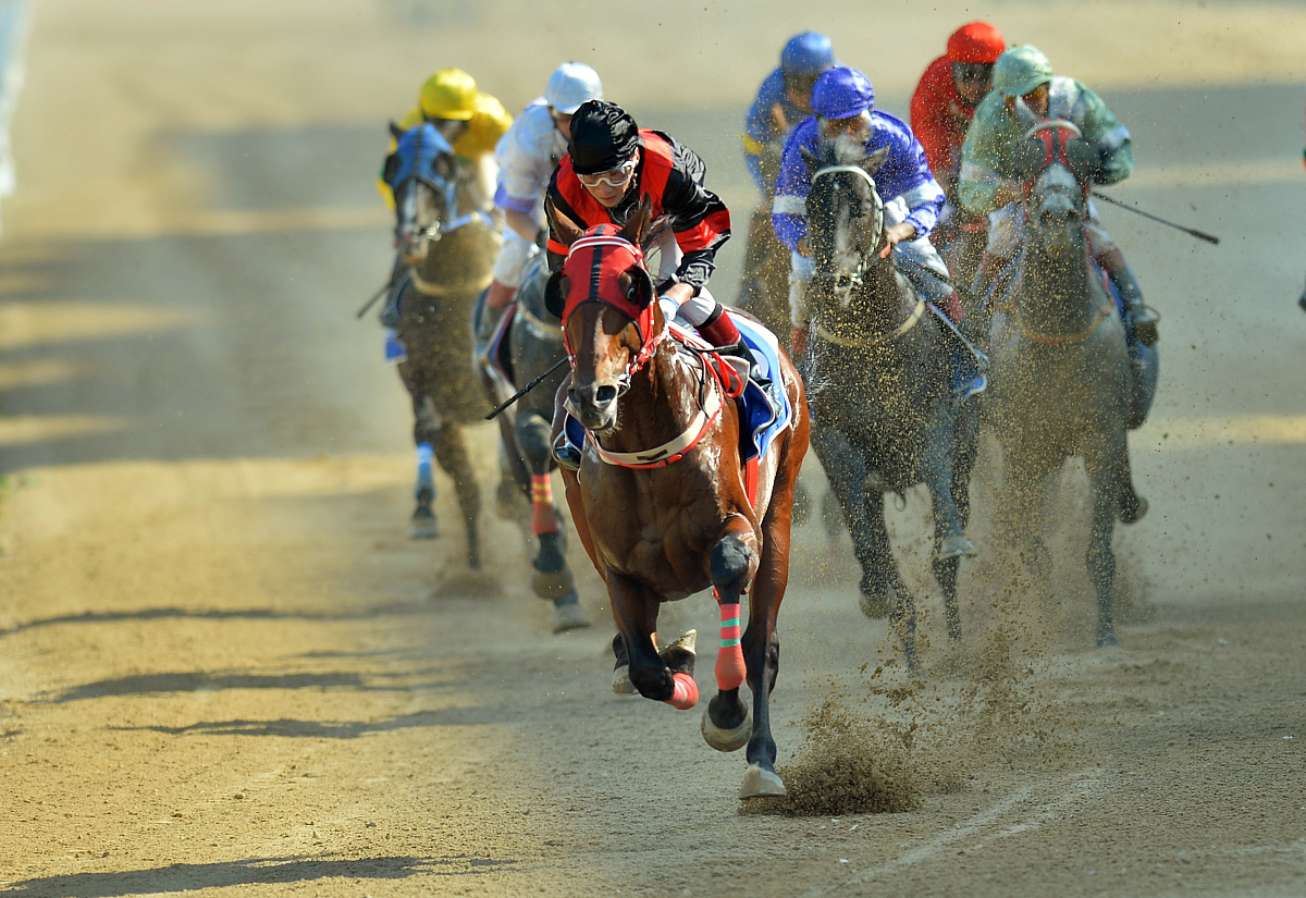 写一个简短的交友语录