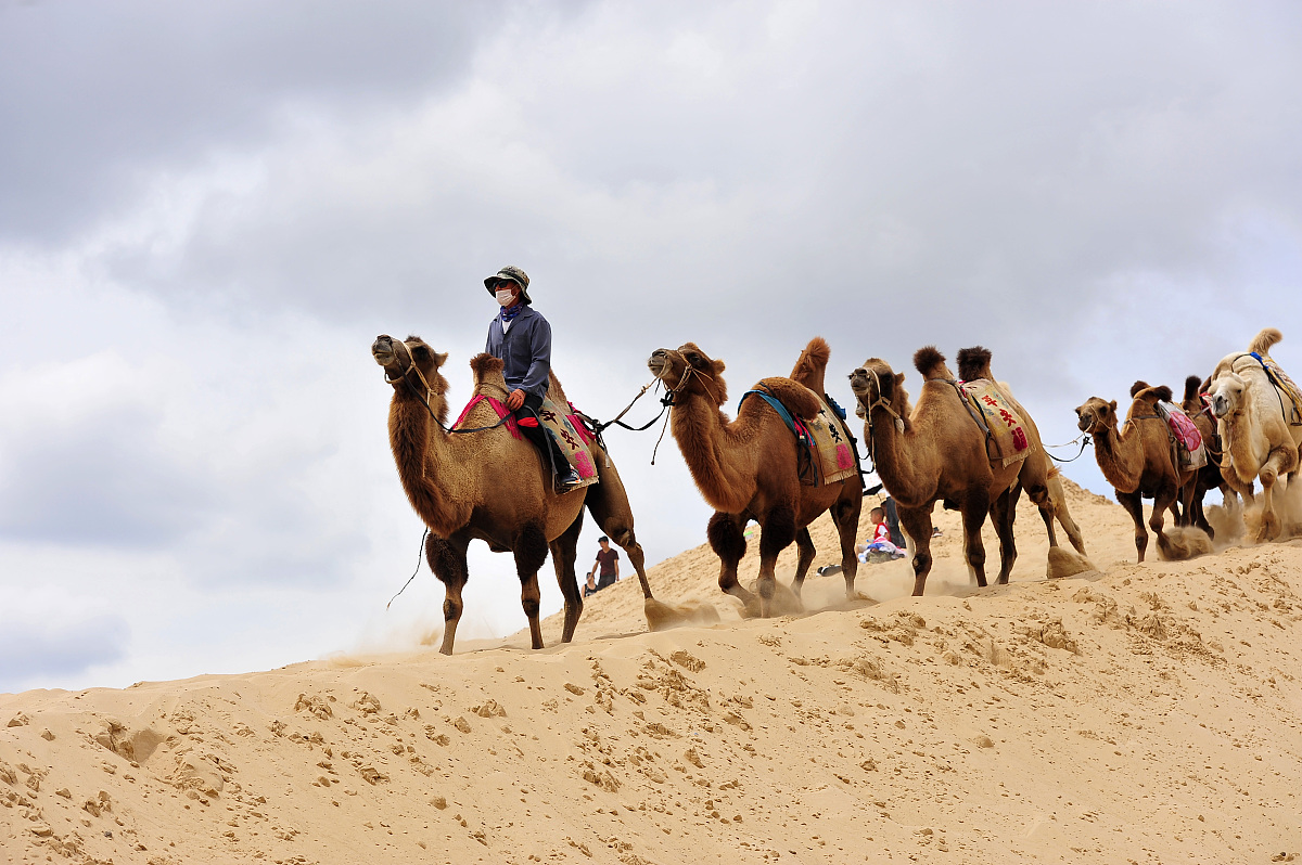 内蒙古电力学校招生信息：联系电话、地址、课程设置