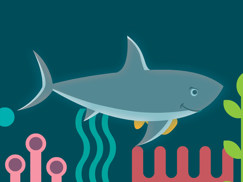 鲨鱼的三种超能力