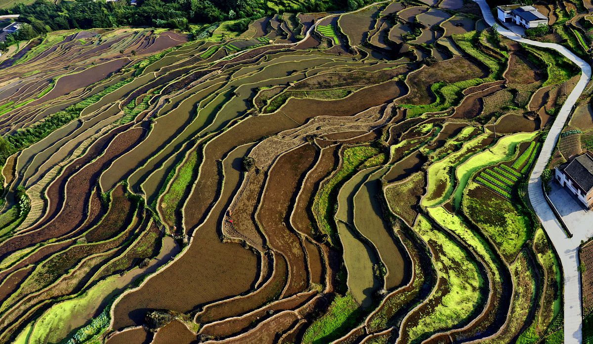 四川泸州财经学校2019+农村会计专业招生-就业前景广阔