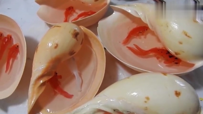 以假乱真的树脂画,还以为是真的,别被眼睛欺骗了