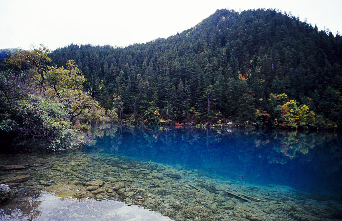 安徽旅游学校2021有哪些专业？