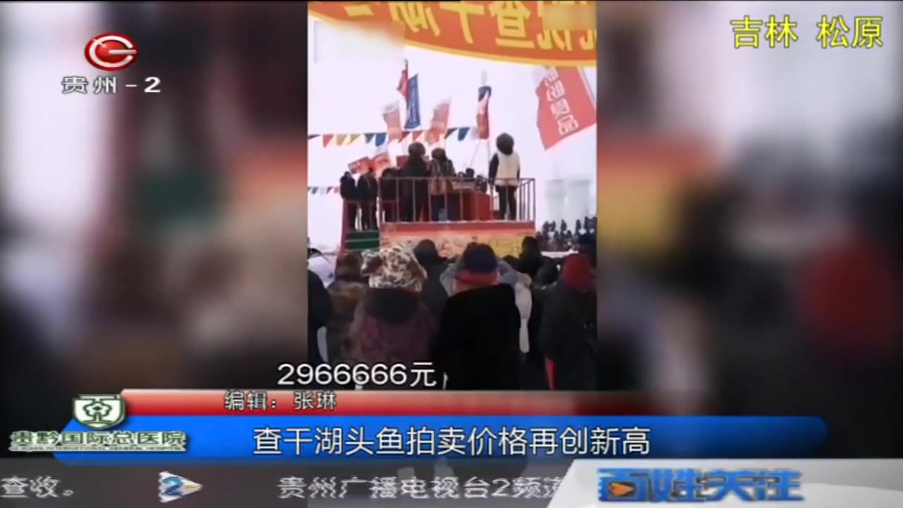 查干湖头鱼拍卖价再创新高,2966666元!看看就得了买不起买不起