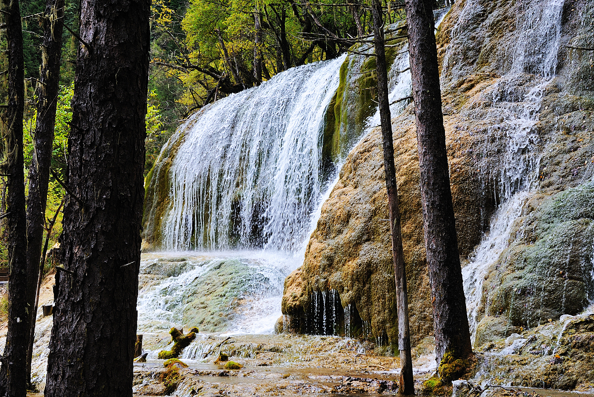 2023四川有旅游管理专业的中专中职学校有哪些_好不好