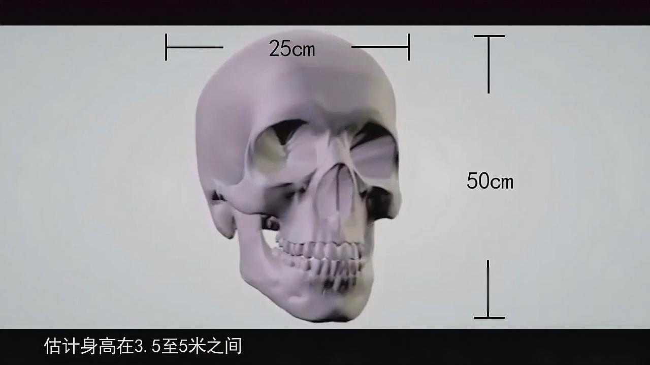 [图]远古巨人是否存在,为什么不和我们一起生存,频频出现在热带雨林