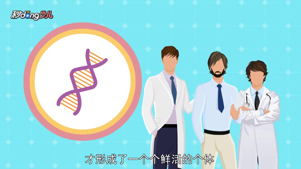 [图]一分钟了解DNA