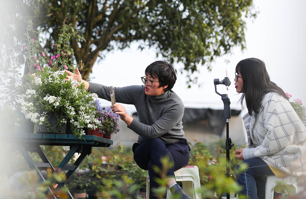 淘宝海外直播申请攻略：条件、流程和注意事项