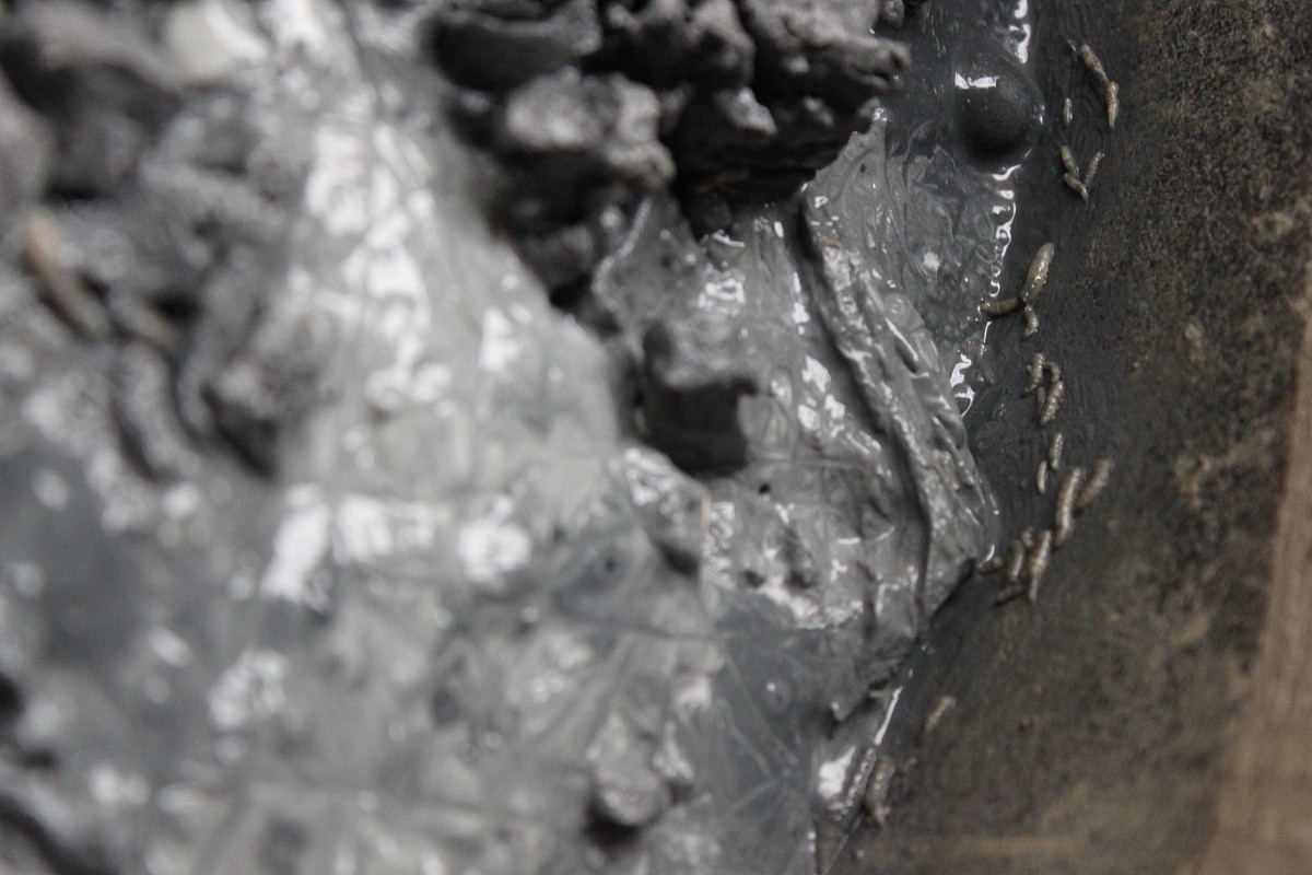 领用企业自产商品投入生产的会计分录怎么写