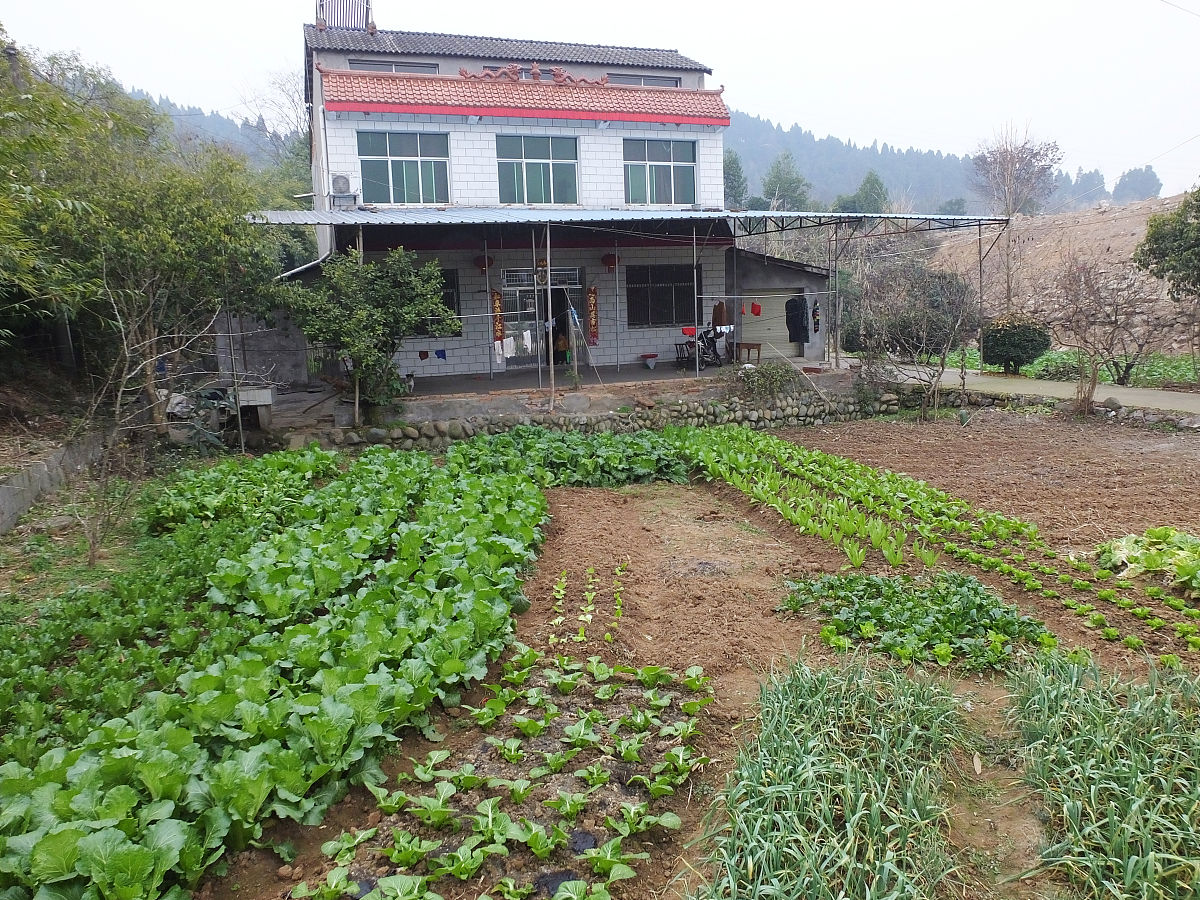 乡村生活：宁静与美好