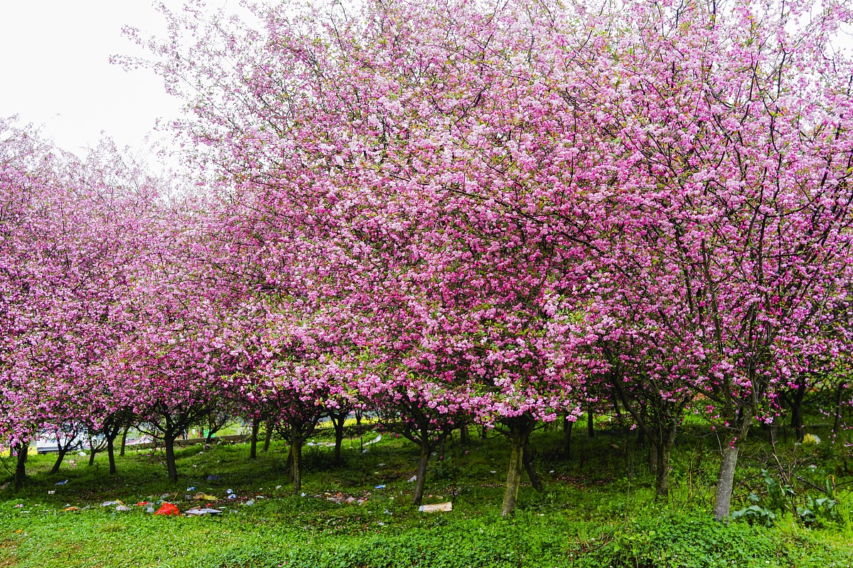 好听的网名大全：梦幻、古风、个性网名推荐